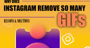 Why Does Instagram Remove So Many GIFs