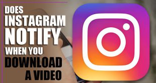 Does Instagram Notify When You Download a Video