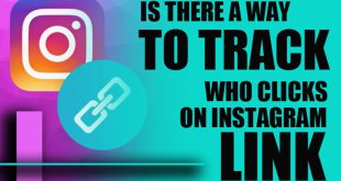 Viewing bio link clicks using Instagram Insights on a business or creator account dashboard