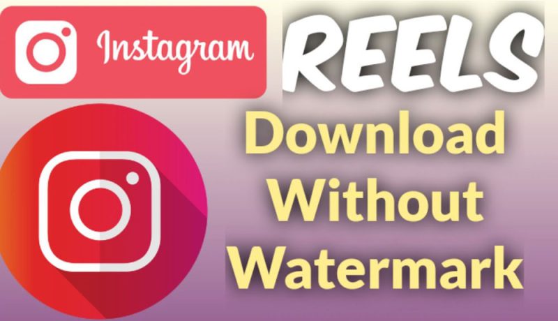 Instagram Reels downloader app for no watermark videos