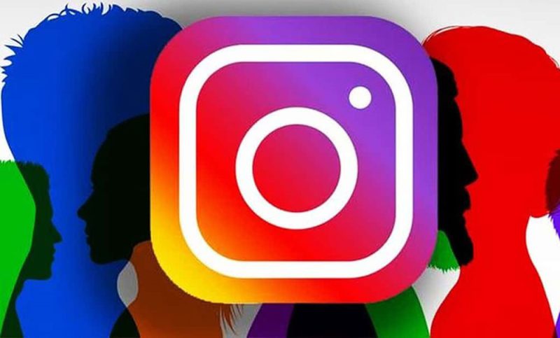 Dashboard view of Instagram follower management tools displaying insights, engagement metrics, and organic growth trends.