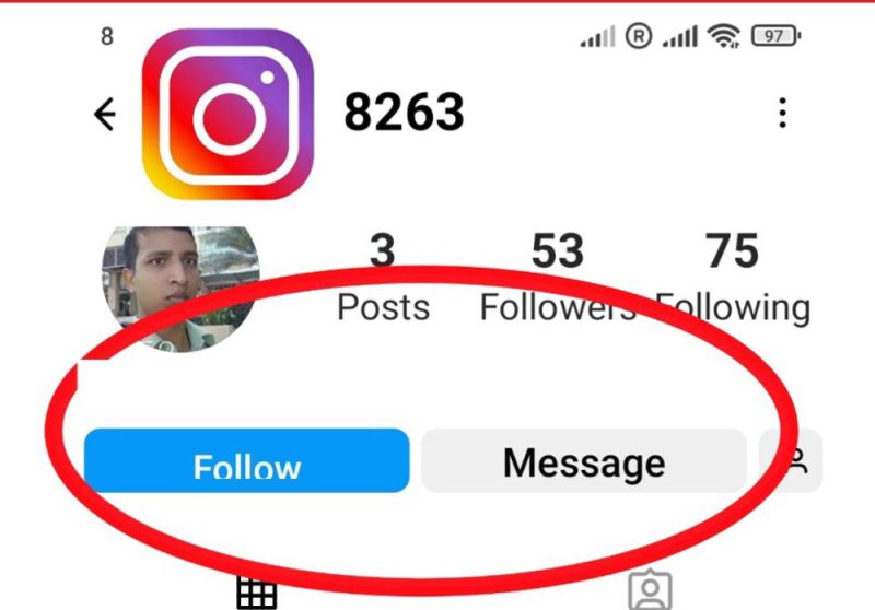 Using Instagram Insights tools to verify real follower growth tracking and engagement.